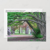 ポストカード：吉泉公園のヒストリックグローブ ポストカード (正面/裏面)