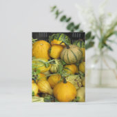 ポストカード – 夏のスカッシュ (スタンド正面)