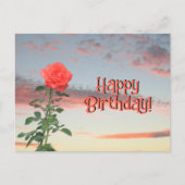 ポストカード - 夕焼けのバラ (正面)