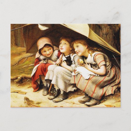 ポストカード:子猫3匹 ポストカード (正面)