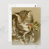 ポストカード:子猫(Holly Sprigを使用) ポストカード (正面/裏面)