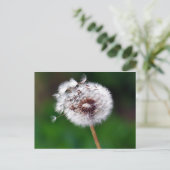 ポストカード – 希望を作成 (スタンド正面)