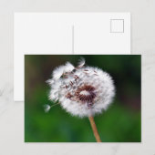 ポストカード – 希望を作成 (正面/裏面)