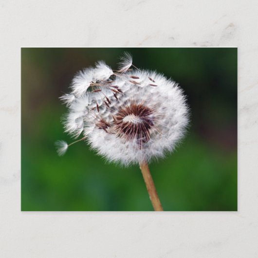 ポストカード – 希望を作成 (正面)