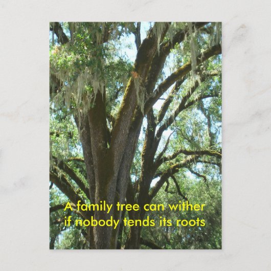 ポストカード – 新しいファミリメンバ (正面)