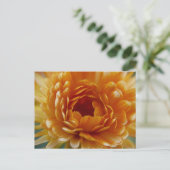 ポストカード – 砂漠開花 (スタンド正面)