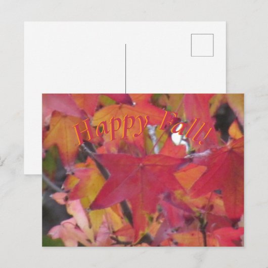 ポストカード - 紅葉 (正面/裏面)