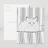 ポストカード - 縞模様の椅子の猫を塗り絵に (正面/裏面)