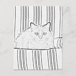 ポストカード - 縞模様の椅子の猫を塗り絵に