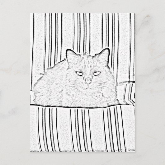 ポストカード - 縞模様の椅子の猫を塗り絵に (正面)