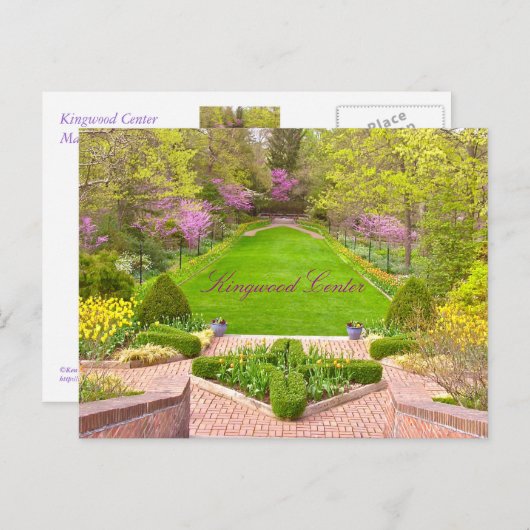 ポストカード「美しいキングウッドセンター&ガーデン」 ポストカード (正面/裏面)