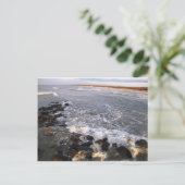 ポストカード「自然。パランガ，リトアニア» ポストカード (スタンド正面)