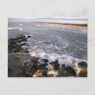 ポストカード「自然。パランガ，リトアニア» ポストカード