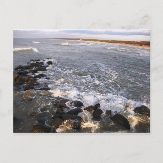 ポストカード「自然。パランガ，リトアニア» ポストカード (正面)