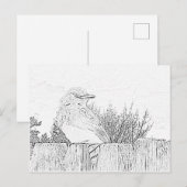 ポストカード - 色付けするフェンス上の鳥 (正面/裏面)