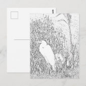 ポストカード - 草むらに立つシラサギのぬりえ (正面/裏面)
