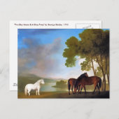 ポストカード： 2ベイマーレ&グレーポニー ポストカード (正面/裏面)