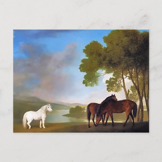 ポストカード： 2ベイマーレ&グレーポニー ポストカード (正面)