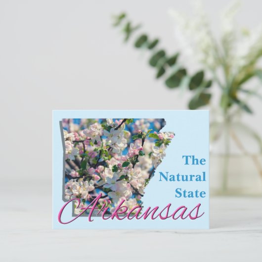 ポストカード – ARKANSAS (スタンド正面)