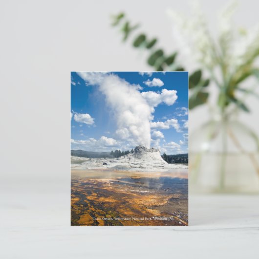 ポストカード – Castle Geyser (スタンド正面)