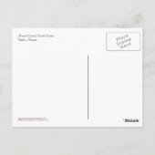 ポストカード: Coatimundi #5 ポストカード (裏面)