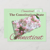 ポストカード – CONNECTICUT (正面/裏面)