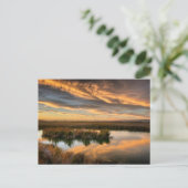 ポストカード – Coyote Hills Regional Park, California (スタンド正面)