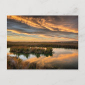 ポストカード – Coyote Hills Regional Park, California (正面)