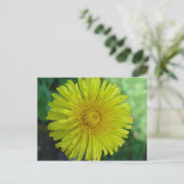 ポストカード – Dandelion (スタンド正面)