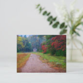 ポストカード – John Oliver Cabin - Cades Cove, TN (スタンド正面)