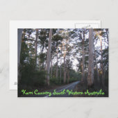 ポストカード – Karri Country South Western Australia (正面/裏面)