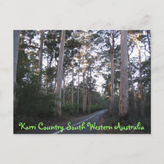 ポストカード – Karri Country South Western Australia