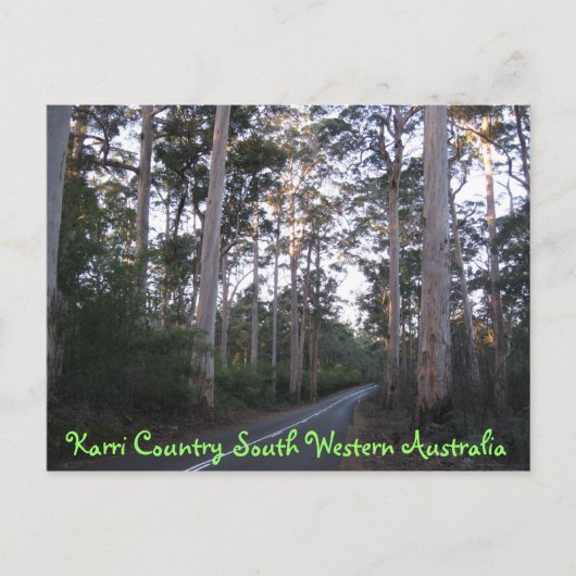 ポストカード – Karri Country South Western Australia (正面)