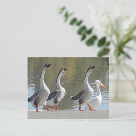 ポストカード – Lakesideで散策 (スタンド正面)