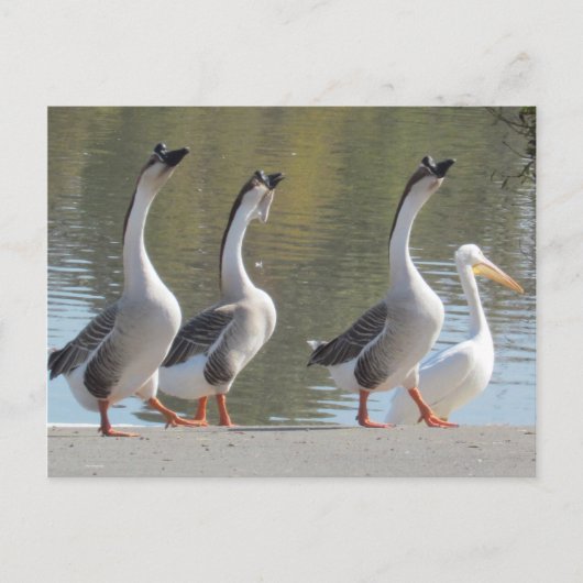 ポストカード – Lakesideで散策 (正面)