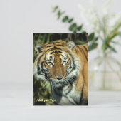 ポストカード： Malayan Tiger (ポートレート) ポストカード (スタンド正面)