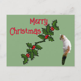 ポストカード – Merry Christmas Holly and Calico Cat