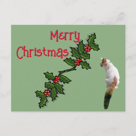 ポストカード – Merry Christmas Holly and Calico Cat (正面)