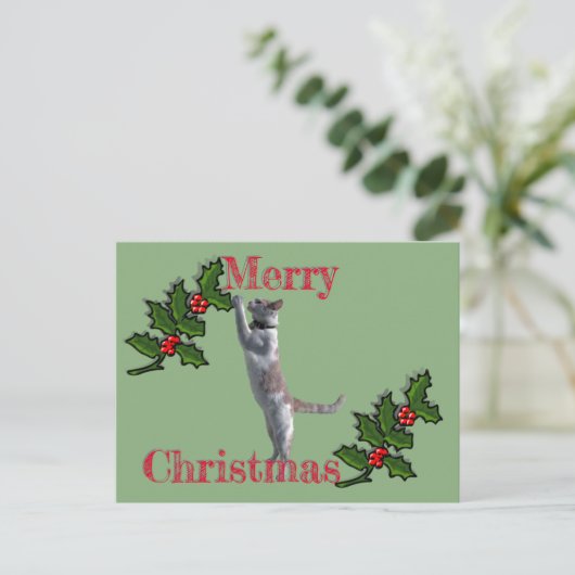 ポストカード – Merry Christmas Holly and Cat (スタンド正面)