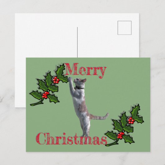 ポストカード – Merry Christmas Holly and Cat (正面/裏面)