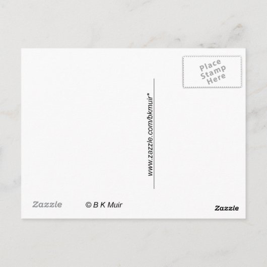 ポストカード – Point Arena California (裏面)