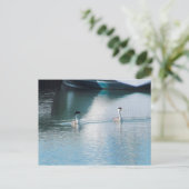 ポストカード – Western Grebe in Harbor (hrz) (スタンド正面)