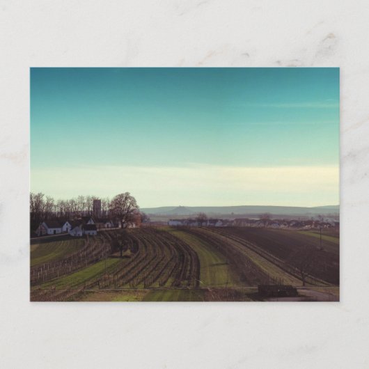 ポストカード「Wintercold」 ポストカード (正面)