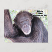 ポストクロッシング世界チンパンジーの日 – 7月14日 ポストカード (正面)