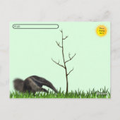 ポストクロッシング巨大アンテータポストカード ポストカード (裏面)