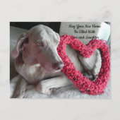 ポストクロッシング新しいホームおめでとうはがき ポストカード (正面)