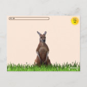 ポストクロッシング自信カンガルー ポストカード (裏面)