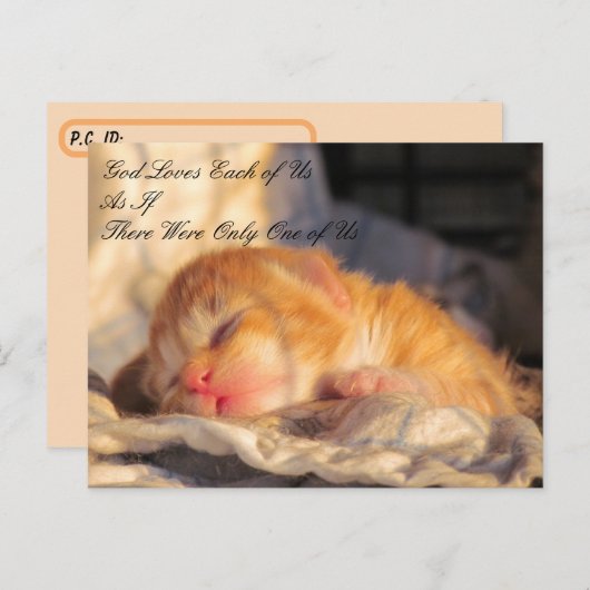 ポストクロッシング葉書 – God Loves We with Kitten ポストカード (正面/裏面)
