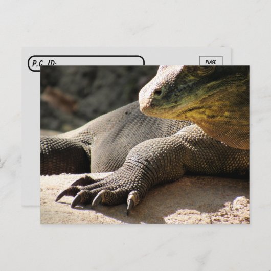ポストクロッシング – コモド・ドラゴン葉書 ポストカード (正面/裏面)