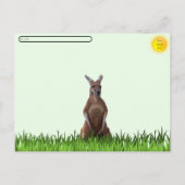 ポストクロッシング:ジョーイ葉書とカンガルー シーズンポストカード (裏面)